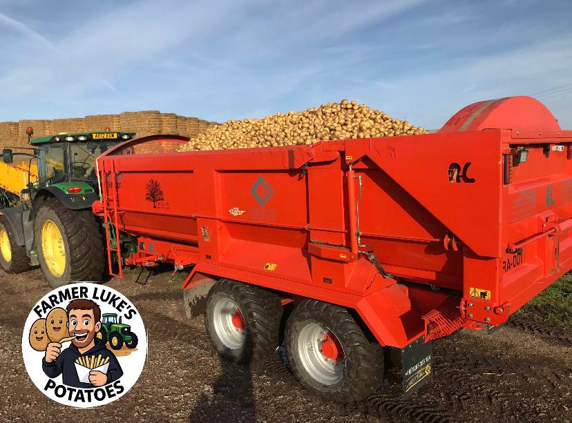 5kg Box of Potatoes