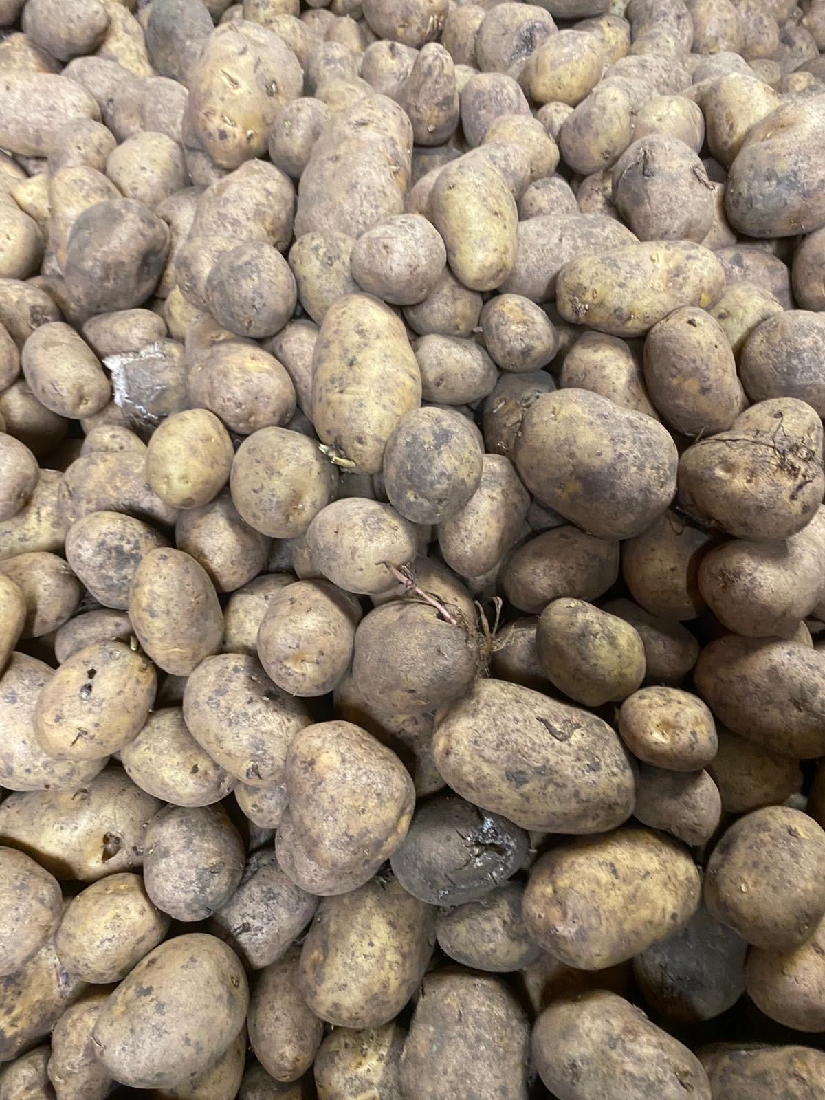 Z Bulk animal feed.