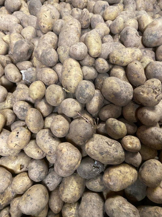 Z Bulk animal feed.